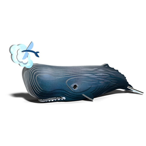 Eugy - Sperm Whale