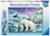 Ravensburger 300 piece - Meet the Polar Animals