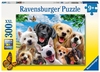 Ravensburger 300 piece - Delighted Dogs-jigsaws-The Games Shop