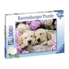 Ravensburger 300 piece - Sweet Dogs in a Basket-jigsaws-The Games Shop