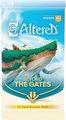 Altered - Beyond the Gates - Booster (each) -trading card games-The Games Shop