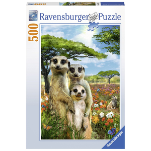 Ravensburger - 500 piece - Happy Meerkats