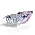 Eugy - Silver Arowana-construction-models-craft-The Games Shop
