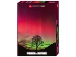 Heye - 1000 Piece - Power of Nature Sycamore Gap-jigsaws-The Games Shop