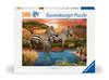 Ravensburger - 500 Piece - Zebras at the Waterhole-jigsaws-The Games Shop