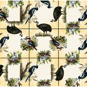Squzzle - Australian Birds
