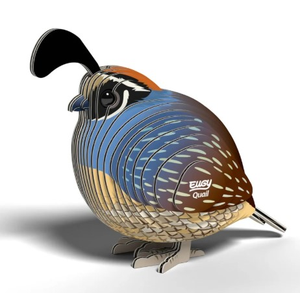 Eugy - Quail