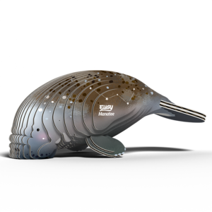 Eugy - Manatee