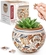 3D Flowerpot Jigsaw Puzzle - Autumn Abundance