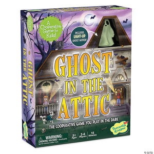 Ghosts in the Attic