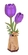 Wooden Bloom Kit - Purple Tulip