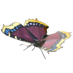 Metal Earth - Mourning Cloak-construction-models-craft-The Games Shop