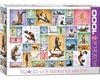 Eurographics - 1000 Piece - Yoga Cats-jigsaws-The Games Shop