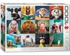 Eurographics - 1000 Piece - Funny Animals-jigsaws-The Games Shop