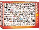 Eurographics - 1000 Piece - World of Cats-jigsaws-The Games Shop