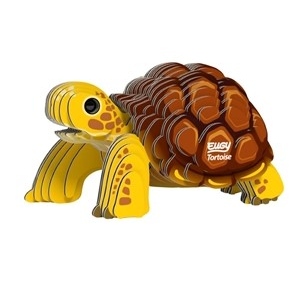 Eugy - Tortoise