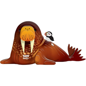 Eugy - Walrus