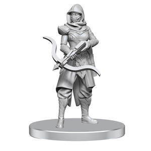 Dungeons & Dragons Nolzur's Marvelous Miniatures - Assassin & Berserker