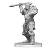 Dungeons & Dragons Nolzur's Marvelous Miniatures - Bugbear Stalker & Goblin Hexer-gaming-The Games Shop