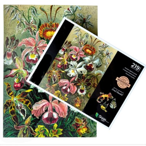 Twigg - 219 Piece Wooden Shaped Piece Jigsaw - Orchids