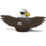 Eugy - Bald Eagle
