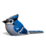 Eugy - Blue Jay