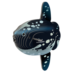 Eugy - Ocean Sunfish