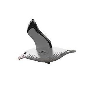 Eugy - Royal Albatross