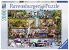 Ravensburger - 2000 piece - Stewart Wild Kingdom Shelves-jigsaws-The Games Shop