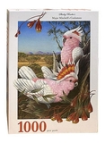 Shirley Barber - 1000 Piece - Major Mitchell's Cockatoo-jigsaws-The Games Shop