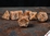 Chessex Dice - Polyhedral Set (7) - Speckled Rust