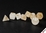 Chessex Dice - Polyhedral Set (7) - Borealis - Champagne White