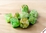 Chessex Dice - Polyhedral Set (7) - Lab - Sour- Green/White