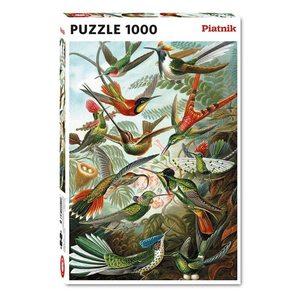 Piatnik - 1000 Piece - Hummingbirds