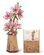 Wooden Bloom - Sakura