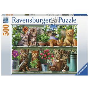 Ravensburger - 500 piece - Cat's on the Shelf