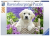 Ravensburger - 500 piece - Sweet Golden Retriever-jigsaws-The Games Shop