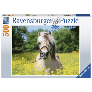 Ravensburger - 500 Piece - White Horse