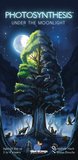 Photosynthesis - Under the Moonlight expansion-board games-The Games Shop