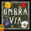 Umbra Via-board games-The Games Shop