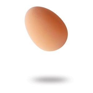 Egg's Up Bounce Ball