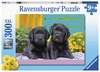 Ravensburger - 300 Piece - Puppy Life-jigsaws-The Games Shop