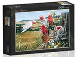 Garry Flemming - 1000 Piece - Galah Quintet-jigsaws-The Games Shop