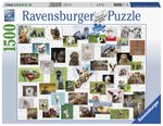 Ravensburger - 1500 Piece - Funny Animals-jigsaws-The Games Shop