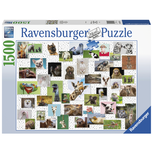 Ravensburger - 1500 Piece - Funny Animals