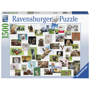 Ravensburger - 1500 Piece - Funny Animals