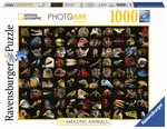 Ravensburger - 1000 Piece - 99 Stunning Animals-jigsaws-The Games Shop