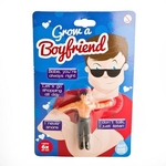 Grow a Boyfriend-quirky-The Games Shop