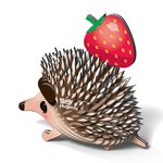 Eugy - Hedgehog-construction-models-craft-The Games Shop