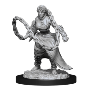 DUNGEONS AND DRAGONS - NOLZURS MARVELOUS UNPAINTED MINIATURES - HUMAN MONK FEMALE